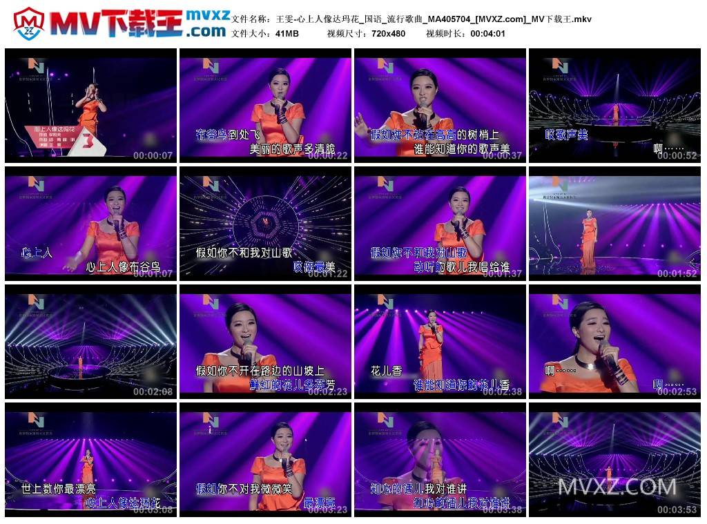 王雯-心上人像达玛花_国语_流行歌曲_MA405704
